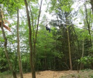 Fly-Line