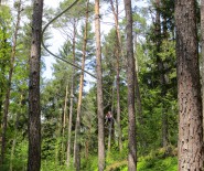 Fly-Line