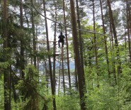 Fly-Line