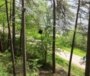 Fly-Line